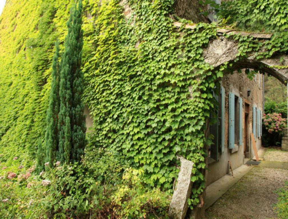 Bed and Breakfast L'Affable Les Cammazes Exterior foto